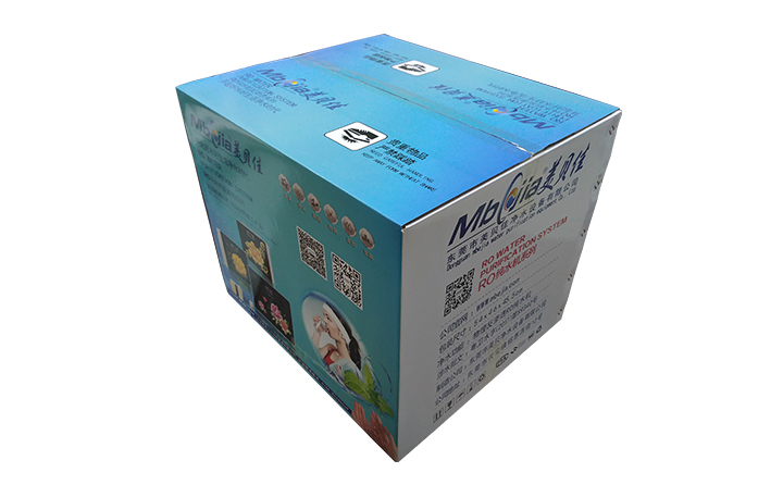 净水器包装彩箱